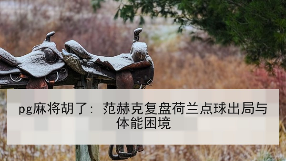 pg麻将胡了: 范赫克复盘荷兰点球出局与体能困境