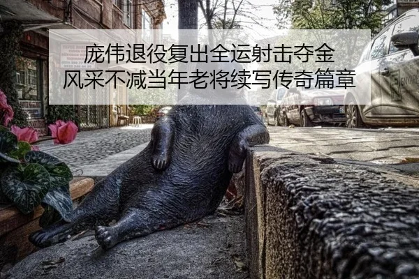 庞伟退役复出全运射击夺金 风采不减当年老将续写传奇篇章