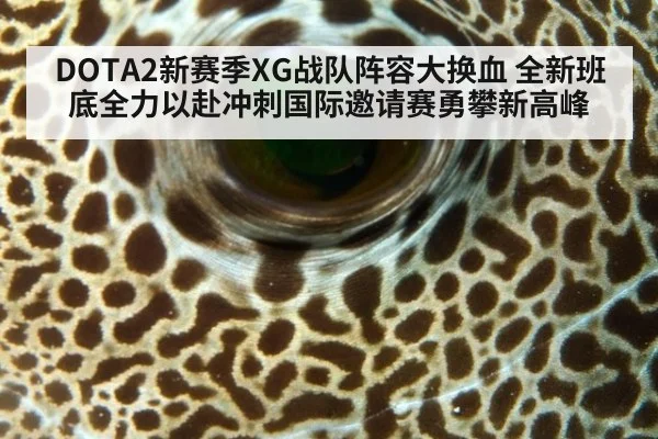 DOTA2新赛季XG战队阵容大换血 全新班底全力以赴冲刺国际邀请赛勇攀新高峰